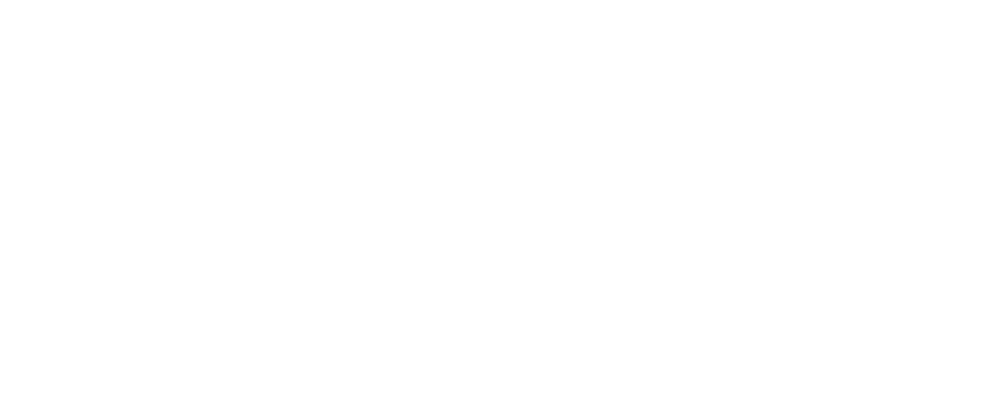 sinn DEPOT